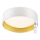Top Light - Dimmbare LED-Deckenleuchte IVONA 40B + Fernbedienung LED/24W/230V + Fernbedienung weiß