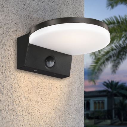 Top Light - LED-Außenwandleuchte mit Sensor NOVARA LED/15W/230V IP65 schwarz