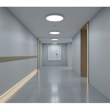 Top Light - LED Deckenleuchte mit Bewegungssensor REVIT LED/12/18/24W/230V 3000/4000/6500K Ø 30 cm weiß