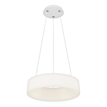 Top Light - LED Dimmbare Deckenleuchte HALO 40W/230V 3000-6500K, 44 cm Durchmesser + Fernbedienung