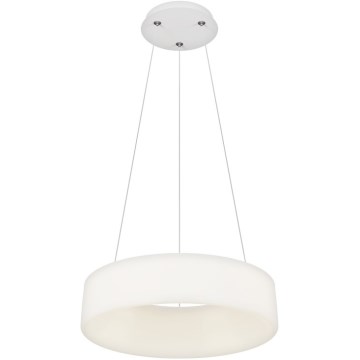 Top Light - LED Dimmbare Deckenleuchte HALO LED/40W/230V 3000-6500K Durchmesser 44 cm + Fernbedienung