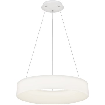 Top Light - LED Dimmbare Hängeleuchte HALO LED/60W/230V 3000-6500K Ø 60 cm + Fernbedienung