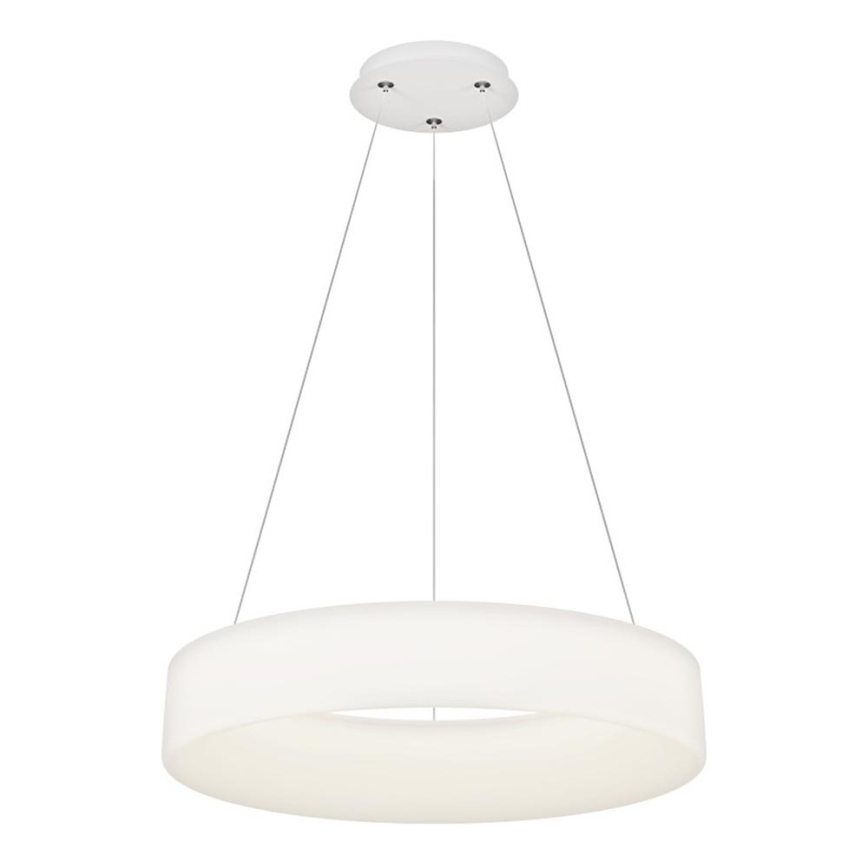 Top Light - LED Dimmbare Hängeleuchte HALO LED/60W/230V 3000-6500K Ø 60 cm + Fernbedienung