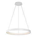 Top Light - LED dimmbare Pendelleuchte an Seil ORBIT LED/40W/230V 3000-6500K Ø 50 cm weiß + Fernbedienung