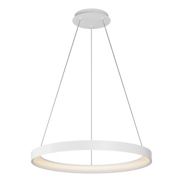 Top Light - LED dimmbare Pendelleuchte an Seil ORBIT LED/40W/230V 3000-6500K Ø 50 cm weiß + Fernbedienung