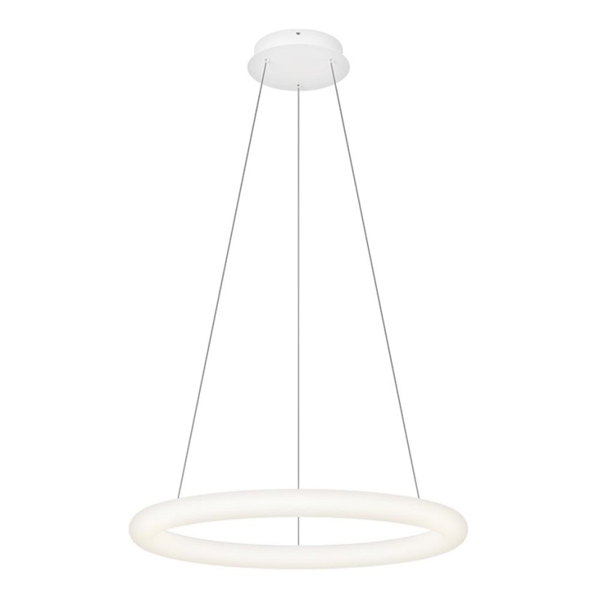 Top Light - LED-dimmbare Pendelleuchte an Seil RINGO LED/40W/230V 3000-6500K weiß + Fernbedienung