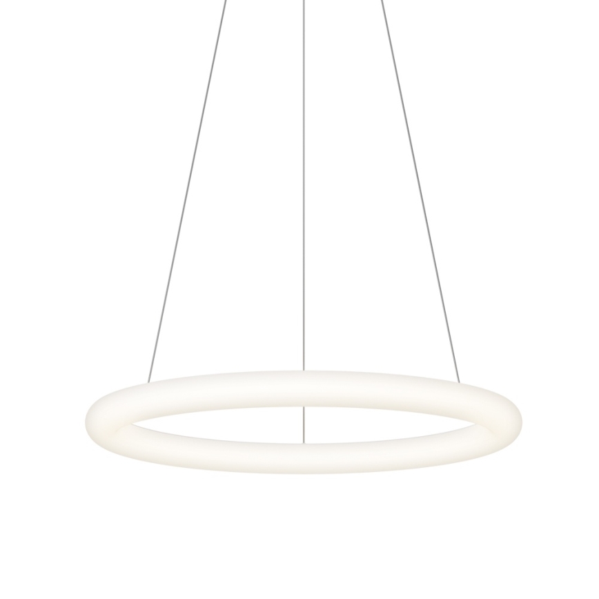 Top Light - LED-dimmbare Pendelleuchte an Seil RINGO LED/40W/230V 3000-6500K weiß + Fernbedienung