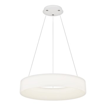 Top Light - LED dimmbarer Hängeleuchte HALO LED/60W/230V 3000-6500K Ø 60 cm + Fernbedienung
