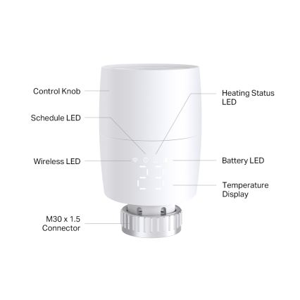 TP-Link – Intelligenter Thermostatkopf mit LCD-Display, 2×AA, Tuya