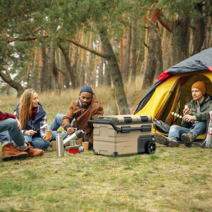 Tragbare Auto-Kühlbox mit LCD-Anzeige 39 l 230V/12V/24V braun