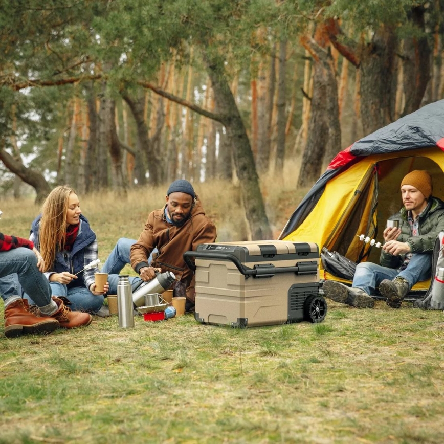 Tragbare Auto-Kühlbox mit LCD-Anzeige 39 l 230V/12V/24V braun