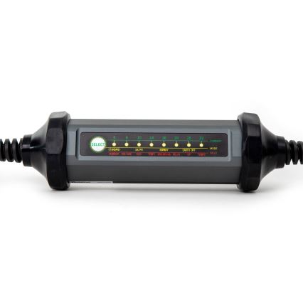 Tragbares Ladegerät für Elektrofahrzeuge mit 4 Adaptern Typ 2 32A/480V 22kW 5m IP67