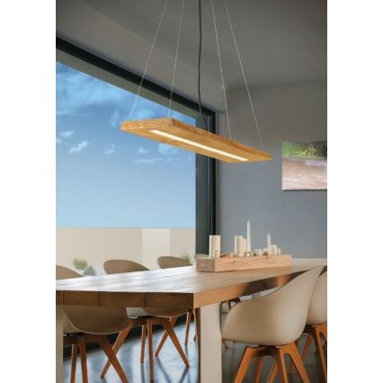 Trio - Dimmbare LED-Hängeleuchte an Schnur BRAD LED/27W/230V