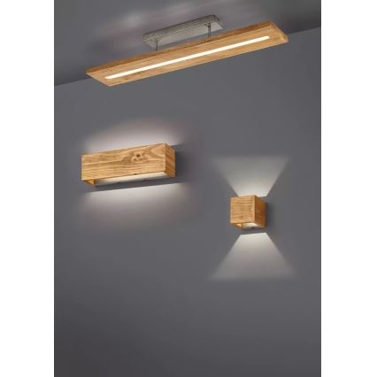 Trio - Dimmbare LED-Wandleuchte BRAD LED/4W/230V