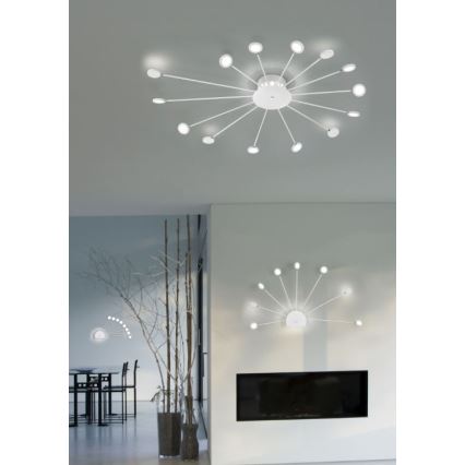 Trio - LED dimmbare Wandleuchte PEACOCK 9xLED/2,6W/230V weiß