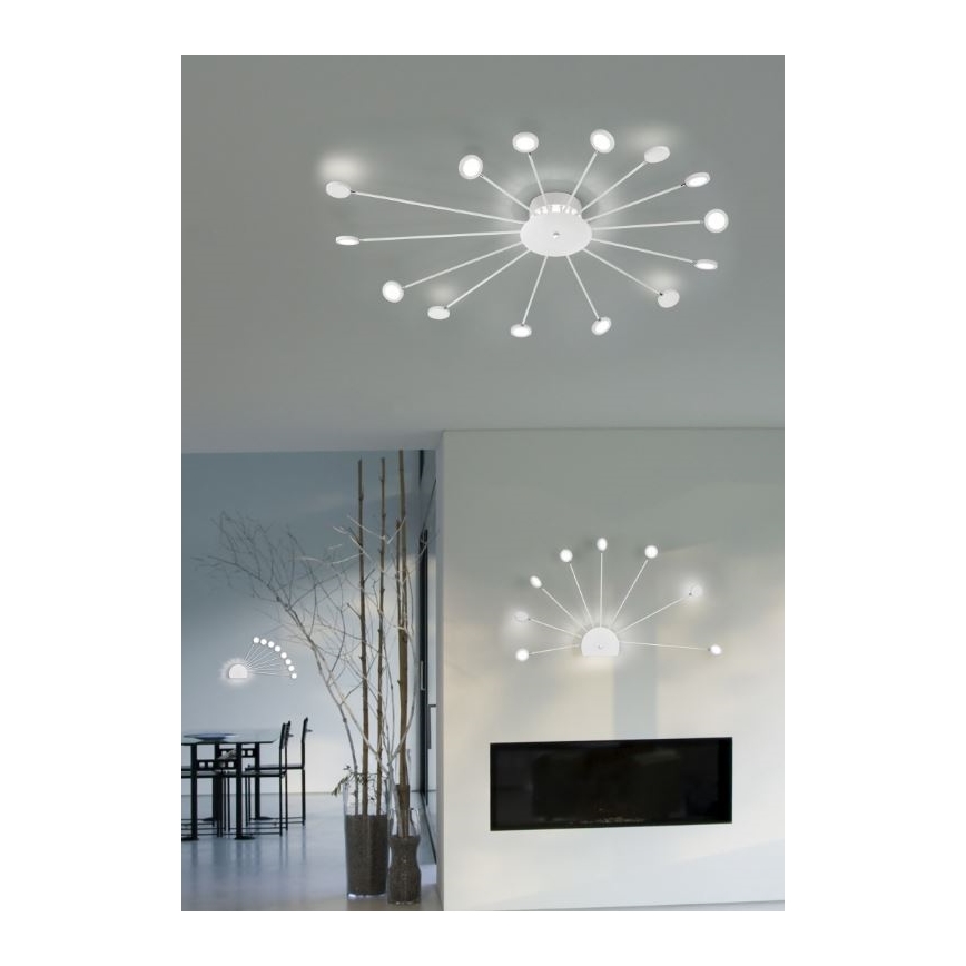 Trio - LED dimmbare Wandleuchte PEACOCK 9xLED/2,6W/230V weiß