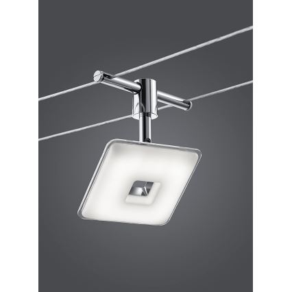 Trio - LED Spotleuchte PONTIUS 5xLED/4,1W/230V