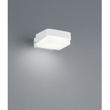 Trio - LED-Wandleuchte für den Außenbereich JUBA LED/10W/230V IP65