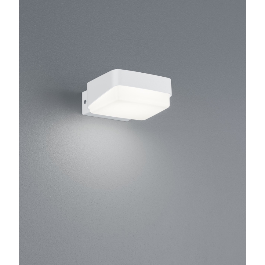 Trio - LED-Wandleuchte für den Außenbereich JUBA LED/10W/230V IP65