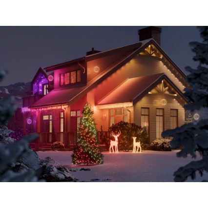 Twinkly - Dimmbares RGBW-LED-Weihnachtsrentier REINGEERS 250 LEDs IP44 Wi‑Fi
