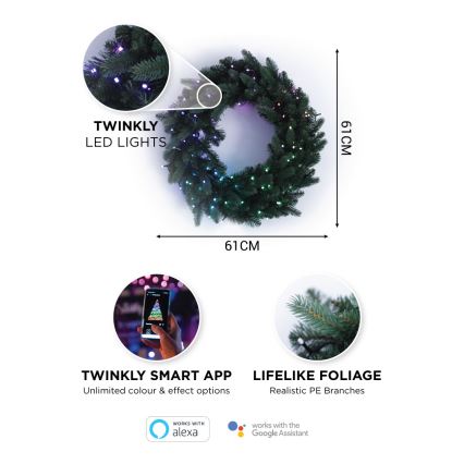 Twinkly - Dimmbarer LED-RGB-Weihnachtskranz PRE-LIT WREATH 50xLED d 61cm Wi-Fi