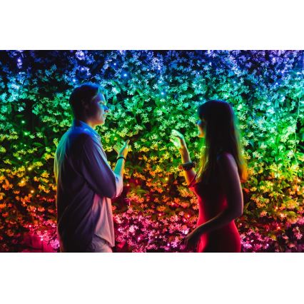 Twinkly - LED RGBW dimmbare Außen-Weihnachtslichterkette STRINGS 600xLED 51,5m IP44 Wi-Fi