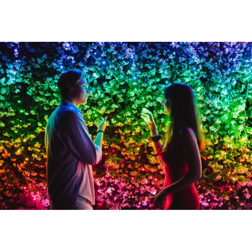 Twinkly - LED RGBW dimmbare Außen-Weihnachtslichterkette STRINGS 600xLED 51,5m IP44 Wi-Fi