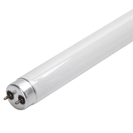 UV-Leuchtstoffröhre für Insektenfalle G13/10W/230V 36,5 cm - BRILAGI