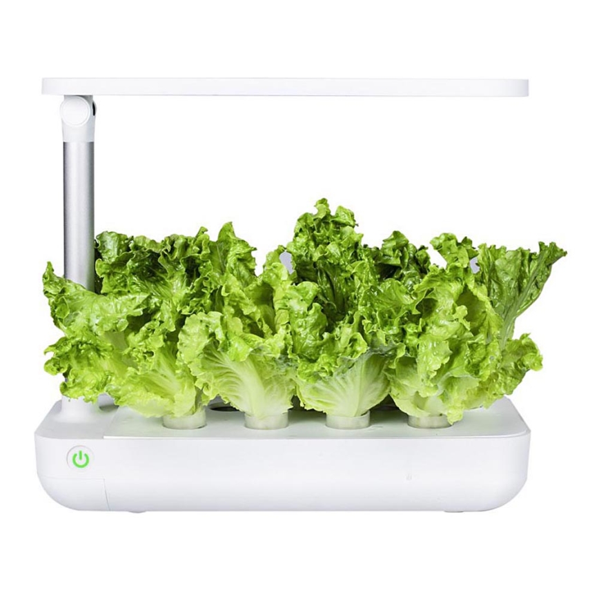 VEGEBOX SMART GARDEN 9 PFLANZUNG LEERSTAND LED/21W/230V