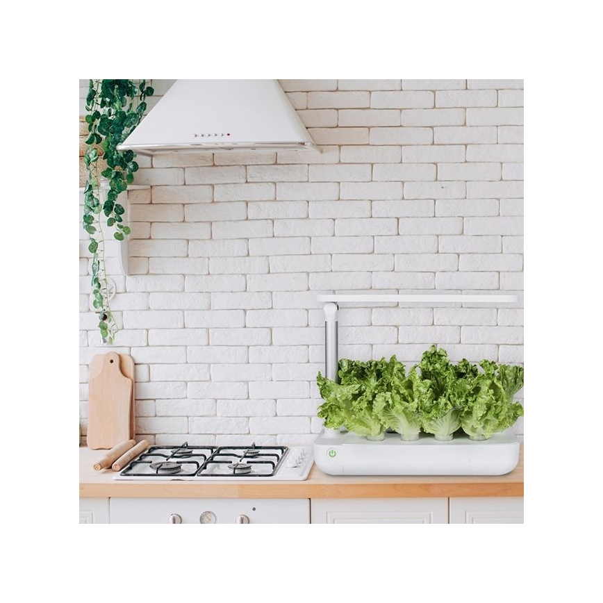 VEGEBOX SMART GARDEN 9 PFLANZUNG LEERSTAND LED/21W/230V