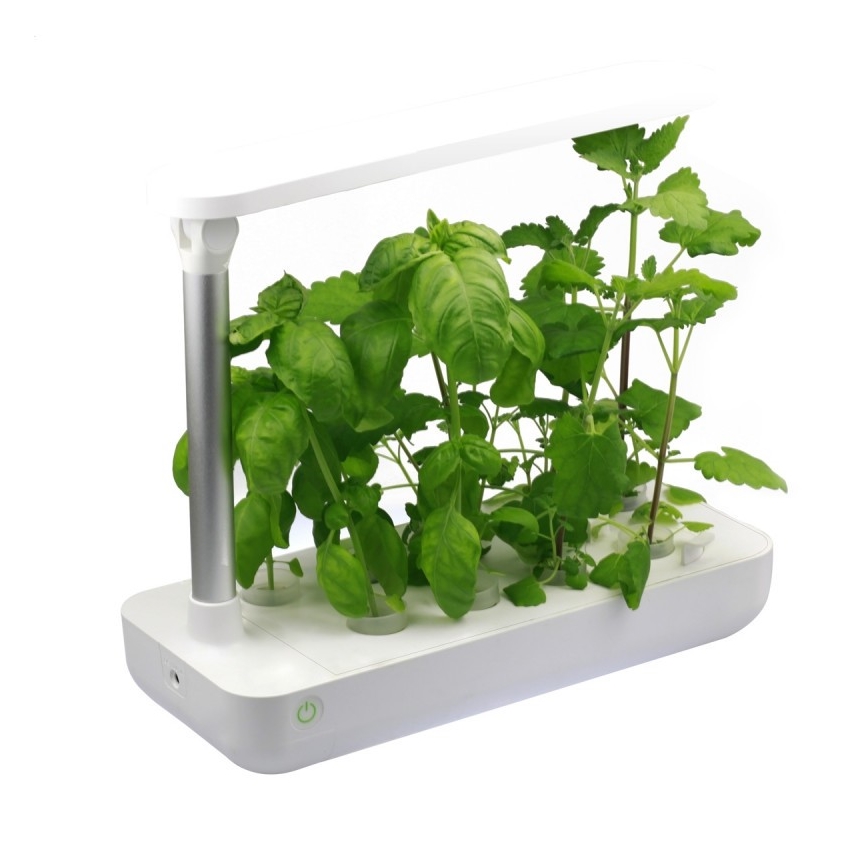 VEGEBOX SMART GARDEN 9 PFLANZUNG LEERSTAND LED/21W/230V