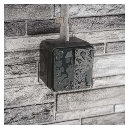 Wand-Wechselschalter, 2 Tasten, Nr. 6+6, IP55, Anthrazit