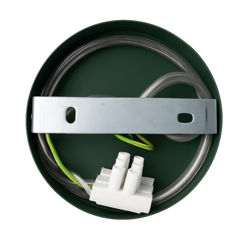 Wandleuchte CAPITAL 1xGX53/15W/230V grün