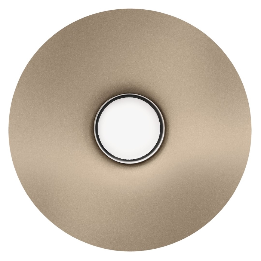 Wandleuchte CAPITAL 1xGX53/15W/230V taupe