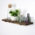Wandregal 16x40 cm Fichte