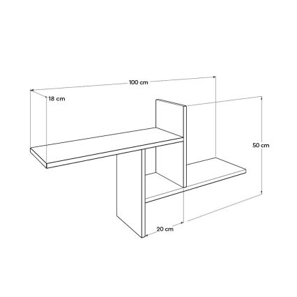 Wandregal 50x100 cm braun