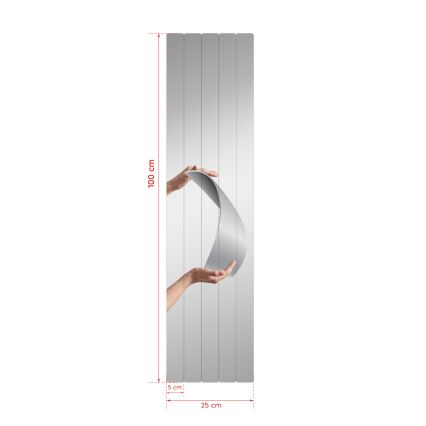 Wandspiegel RECTANGULAR 100x25 cm - 5 parts