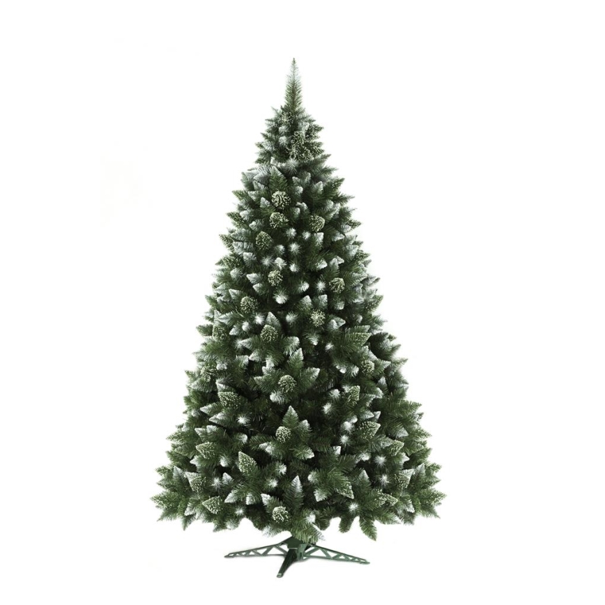 Weihnachtsbaum 250 cm Kiefer
