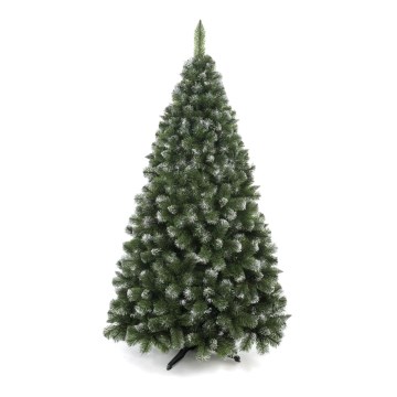 Weihnachtsbaum 250 cm – Kiefer