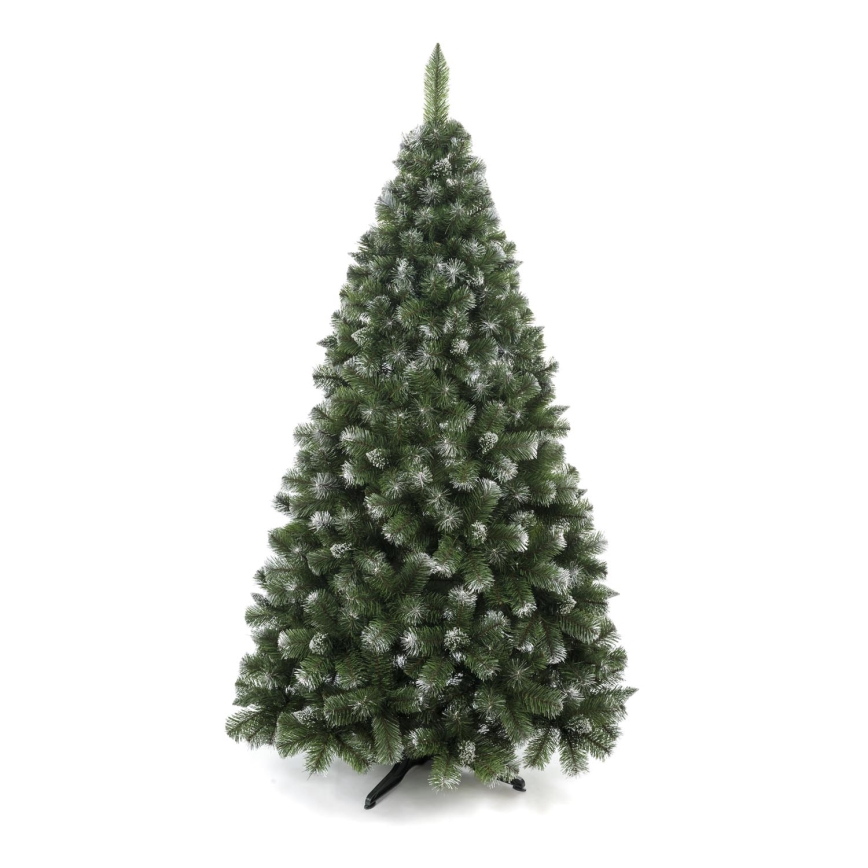 Weihnachtsbaum 250 cm – Kiefer