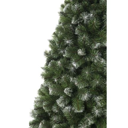 Weihnachtsbaum 250 cm – Kiefer