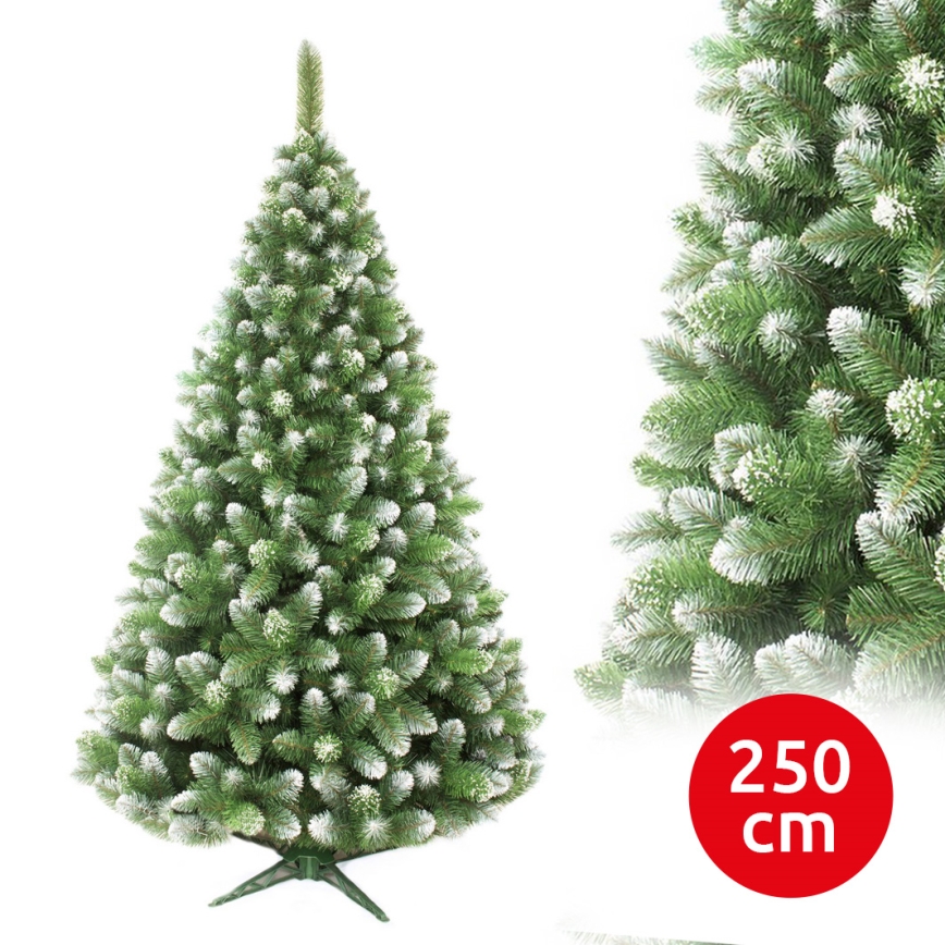 Weihnachtsbaum 250 cm Kiefer