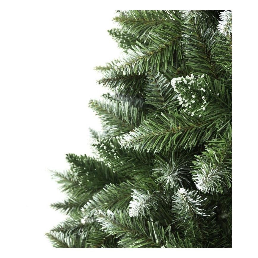Weihnachtsbaum 250 cm Tanne