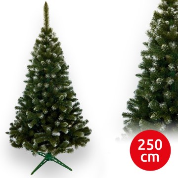 Weihnachtsbaum 250 cm, Tanne