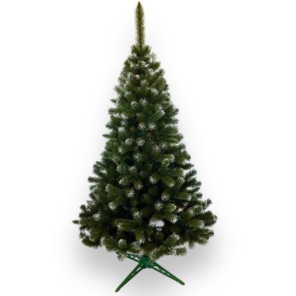 Weihnachtsbaum 250 cm, Tanne