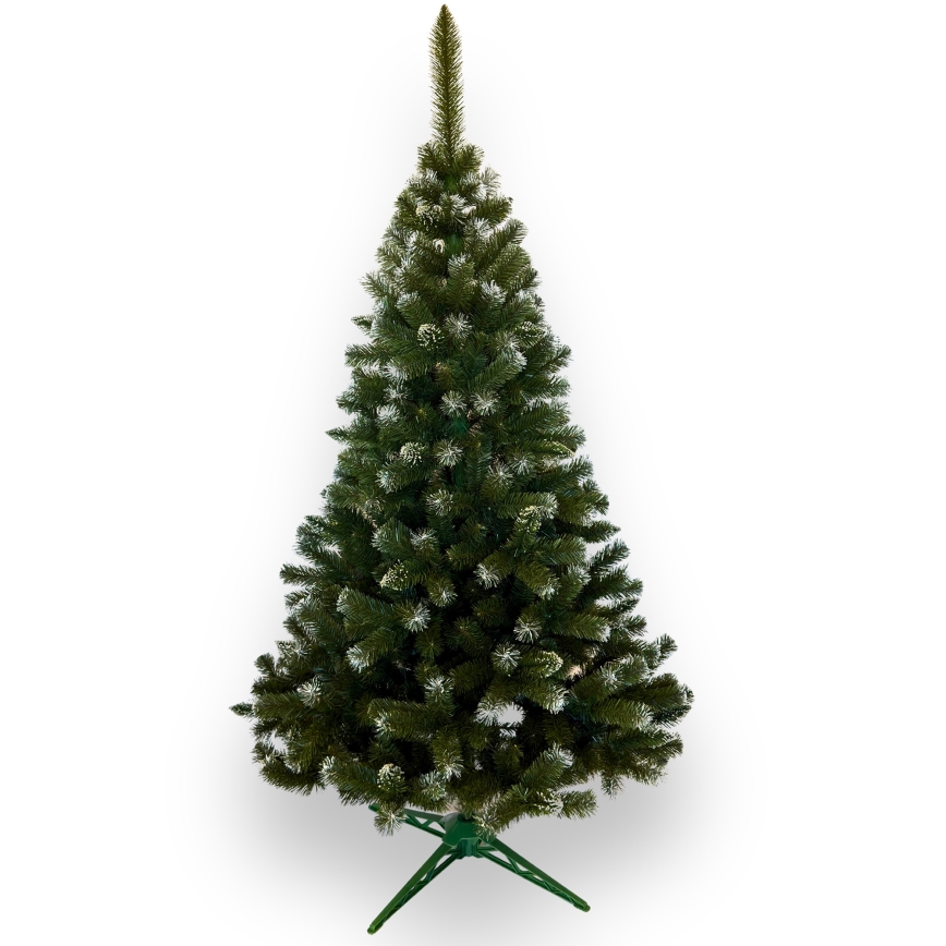 Weihnachtsbaum 250 cm, Tanne