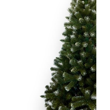 Weihnachtsbaum 250 cm, Tanne