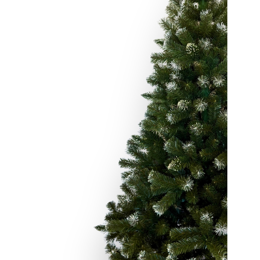 Weihnachtsbaum 250 cm, Tanne
