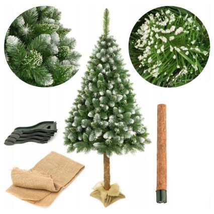 Weihnachtsbaum auf einem Stamm 220 cm Kiefer