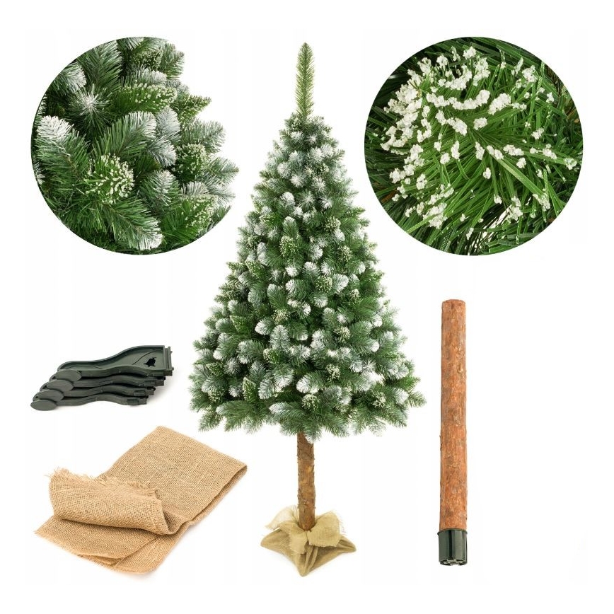 Weihnachtsbaum auf einem Stamm 220 cm Kiefer